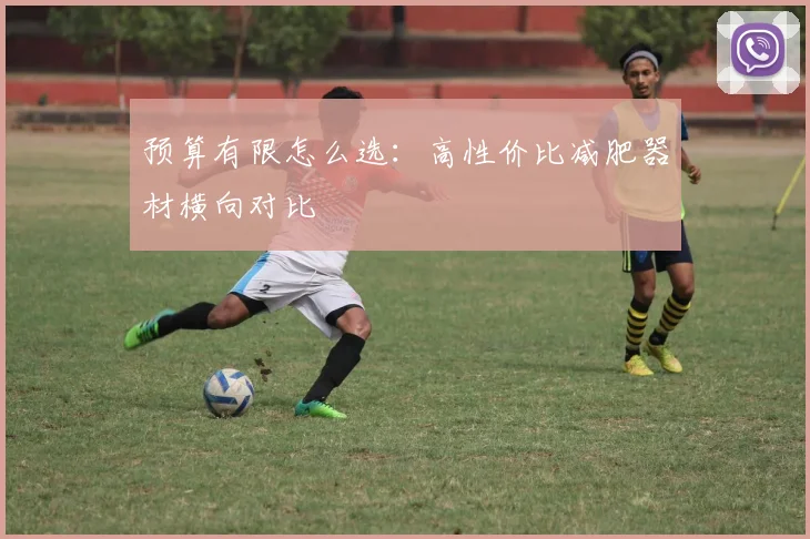 预算有限怎么选：高性价比减肥器材横向对比