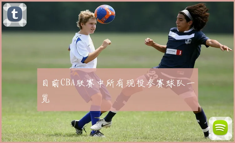 目前CBA联赛中所有现役参赛球队一览